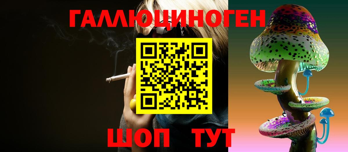 Псилоцибиновые грибы Magic Shrooms  Вход с VPN  Бердск  Псилоцибиновые грибы Psilocybine cubensis 