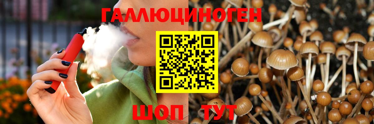 Псилоцибиновые грибы мицелий Бердск