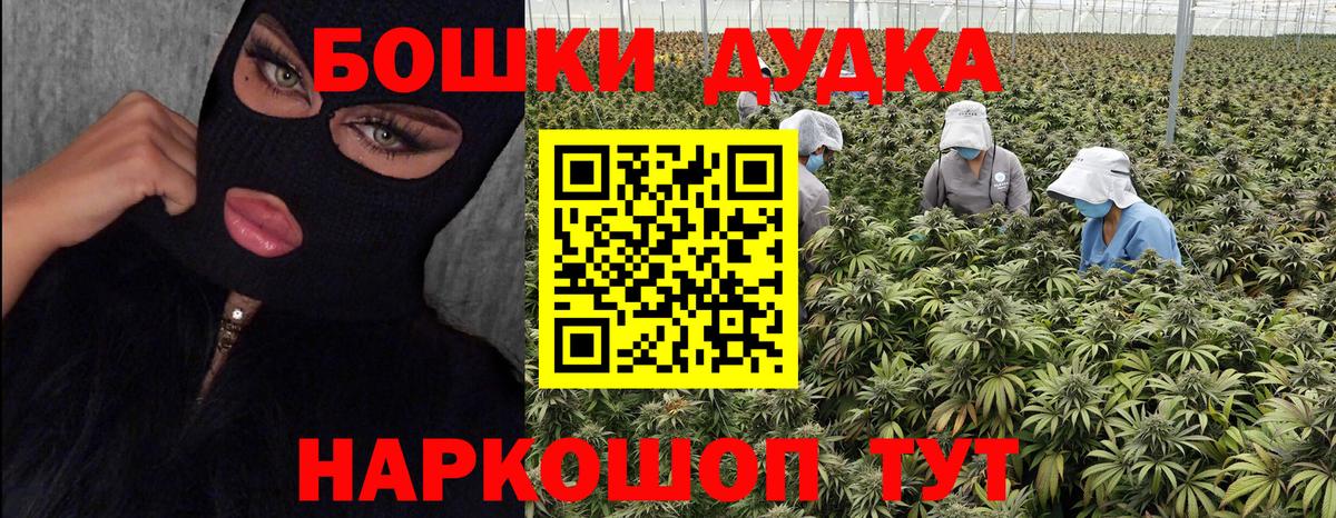 Бошки марихуана семена Бердск